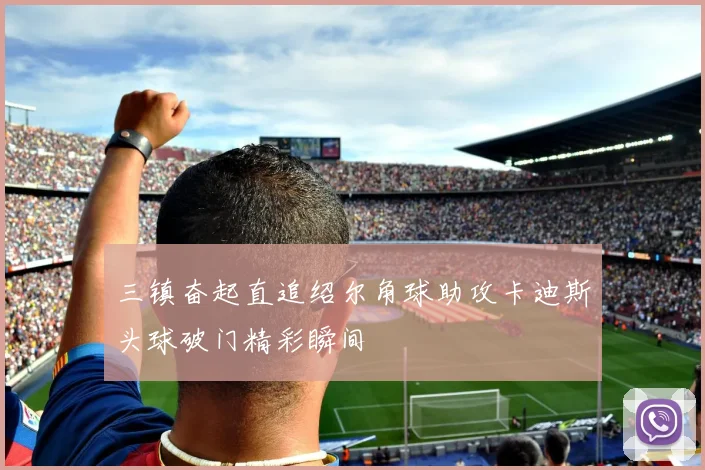 三镇奋起直追绍尔角球助攻卡迪斯头球破门精彩瞬间