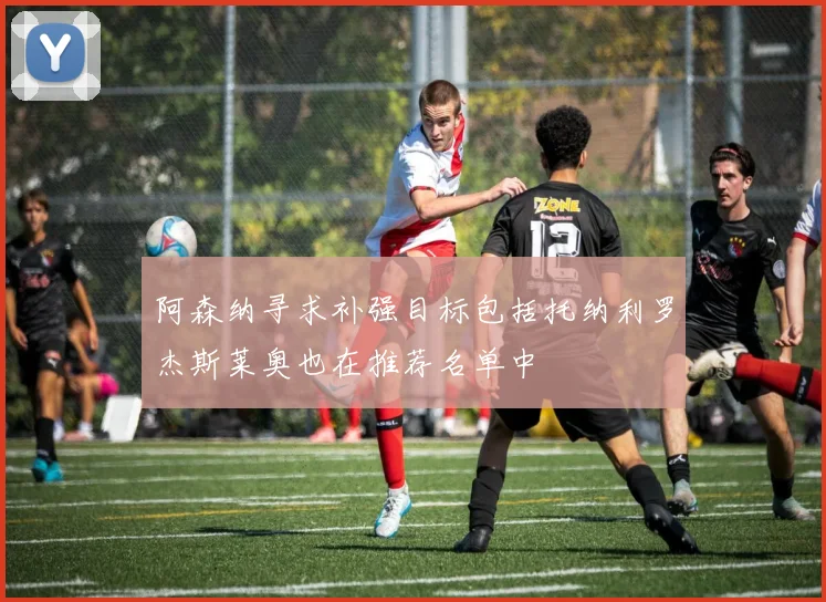 阿森纳寻求补强目标包括托纳利罗杰斯莱奥也在推荐名单中